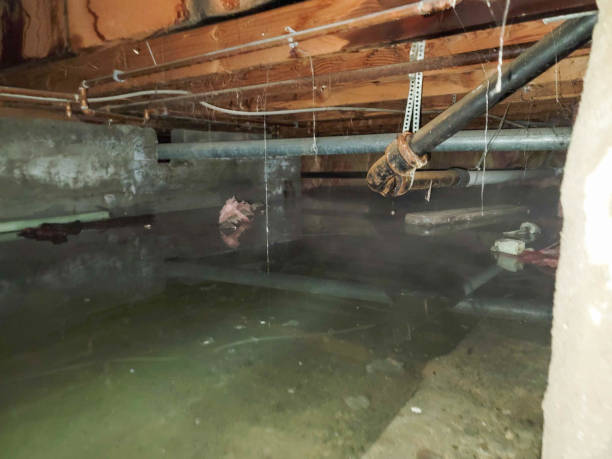 Best Residential water damage restoration  in New Rochelle, NY