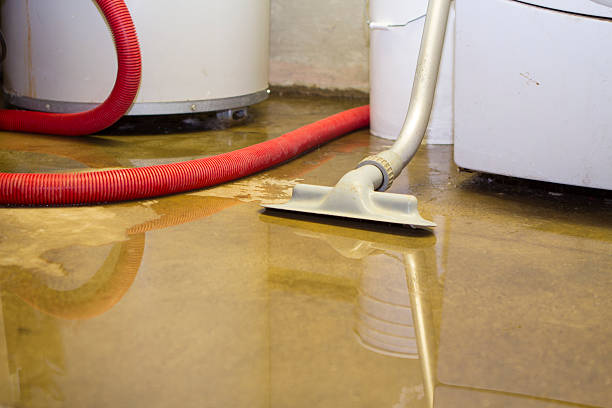 Best Flood damage cleanup  in New Rochelle, NY
