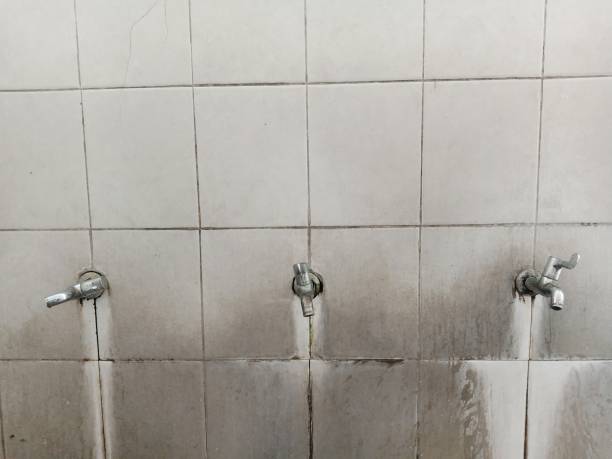 Best Sewage cleanup and water damage restoration  in New Rochelle, NY