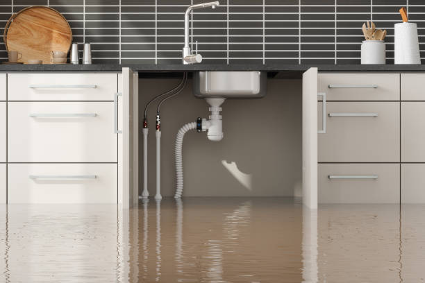  New Rochelle, NY Water damage restoration Pros
