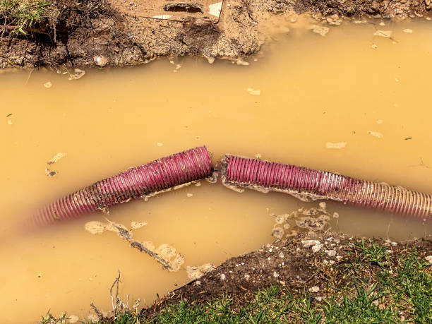 Best 24/7 water damage repair  in New Rochelle, NY