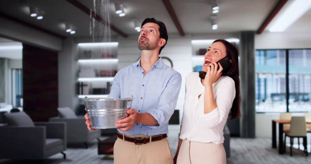 Best Flood restoration services  in New Rochelle, NY