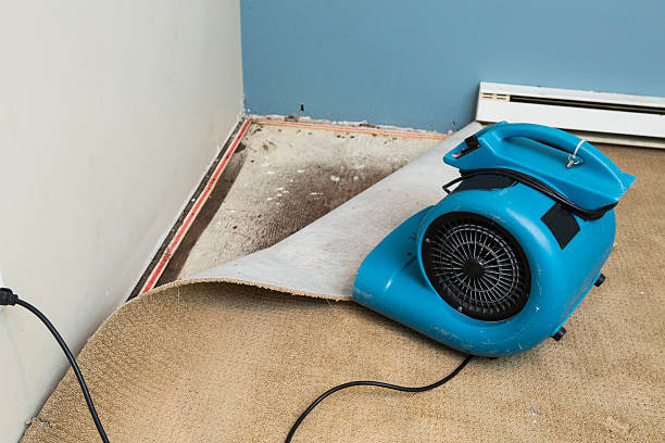 Best 24-hour water damage restoration  in New Rochelle, NY